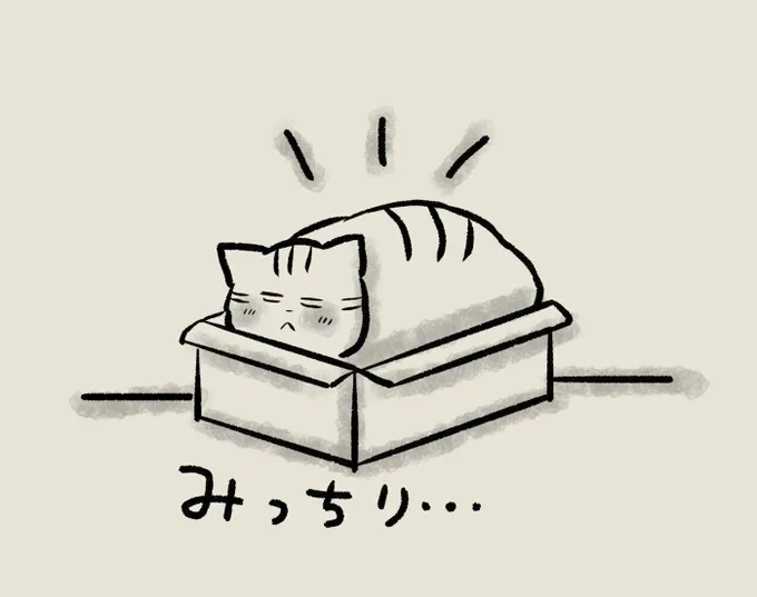 自分の体の大きさをわかっていない猫【連載】交通事故にあった猫を拾いました#138 