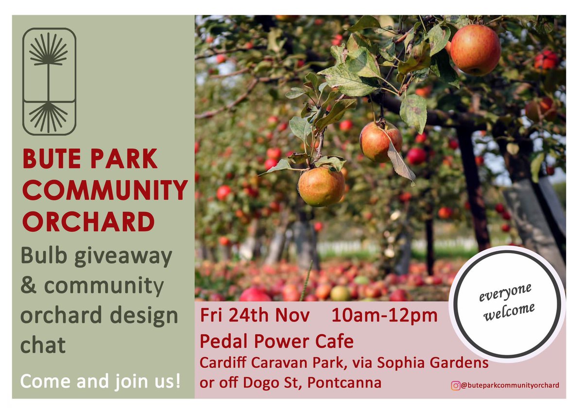 Bute Park Community Orchard drop-in session at Pedal Power cafe - chat about this exciting project and see how you could be involved. Friday 24th November, 10am-12pm. Free bulbs and a warm welcome!
cardiffpedalpower.org