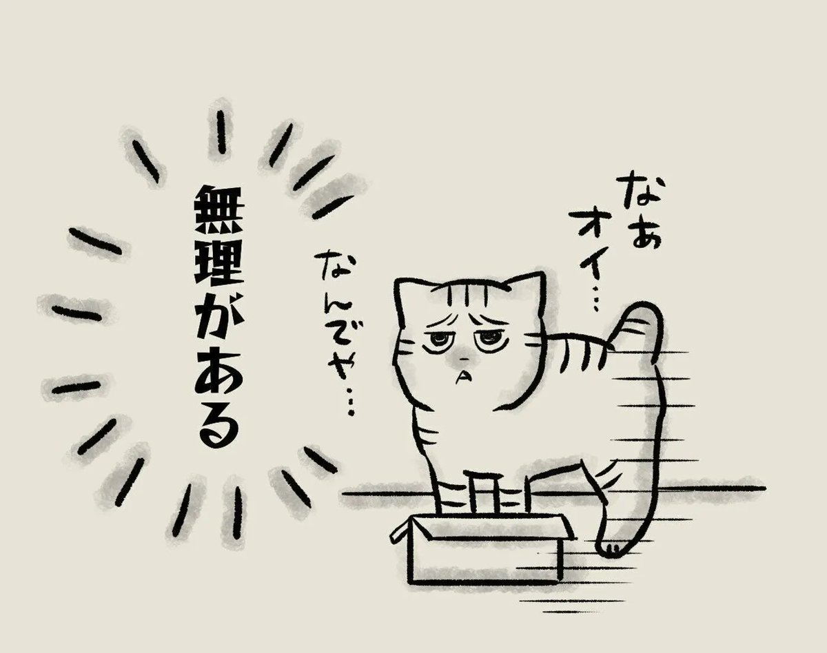 自分の体の大きさをわかっていない猫【連載】交通事故にあった猫を拾いました#138 