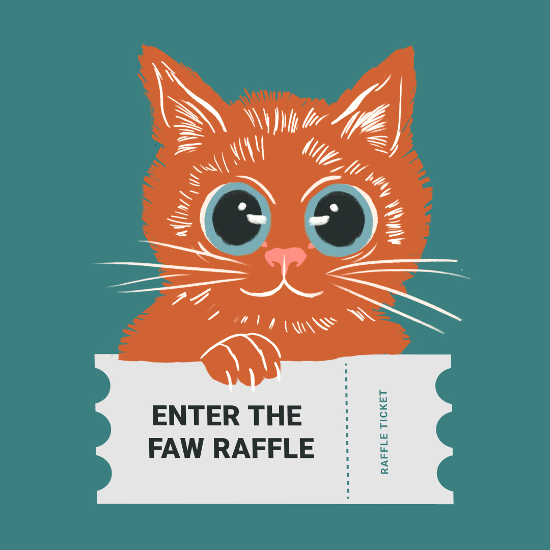 rusty_monkey's tweet image. The @fawrescuenottingham ❄️☃️ WINTER RAFFLE ☃️❄️ is LIVE! They are raising money for their small non-profit organisation that rescues cats and wildlife.

Enter their raffle on their instagram page: 

instagram.com/p/CzPHfHwtAuj/…