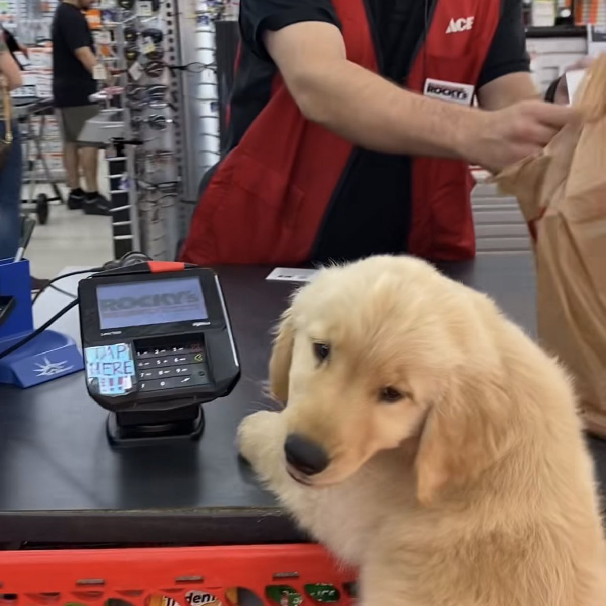 เก็บเงินที่แม่เลยคับ ผมมาเปนเพื่อน