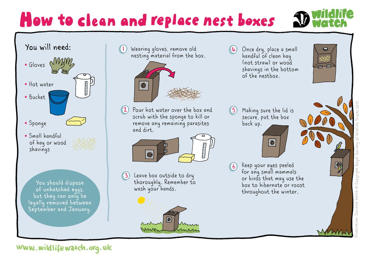 Have some spare time this weekend? ⌚ Now is a great time to clean and replace nest boxes for birds! Check out our guide below and our top tips on our website 👇 worcswildlifetrust.co.uk/actions/how-cl…