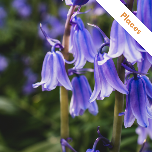 Heart Community Rail tweet media