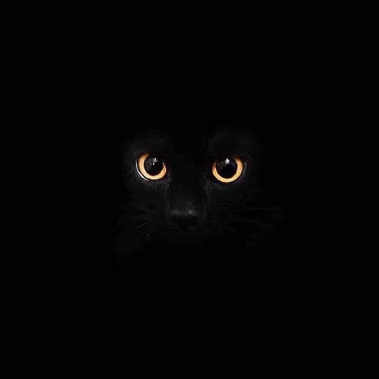 KophInoSS's tweet photo. #NewProfilePic https://t.co/DIlO5yzGi1