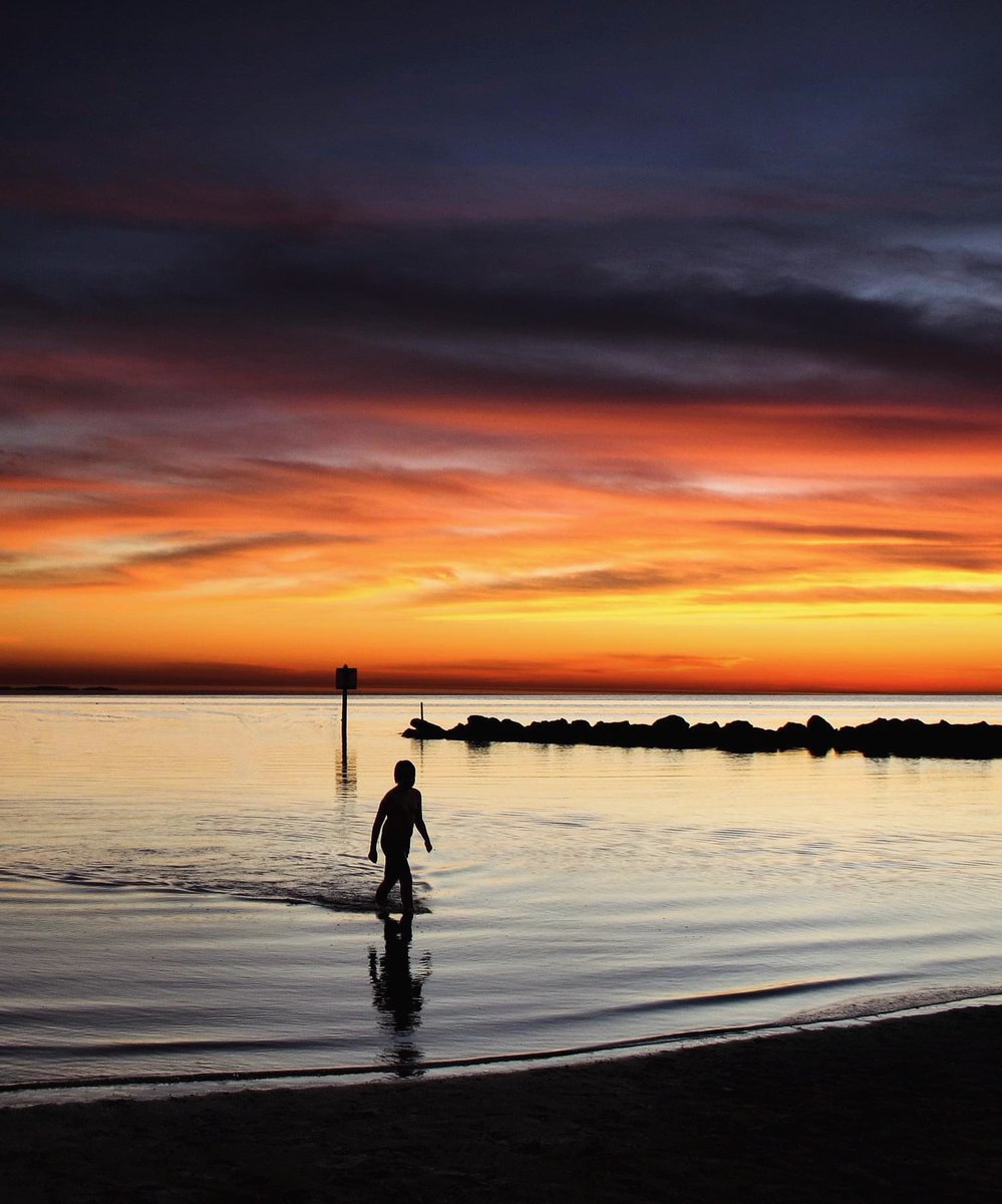 Amazing sunsets at Florida west coast

#SunshineStateVibes #BeachLifeFL #TravelSunshineState #OceanEscape #FloridaAdventures #SandyToes #ExploreFL #GulfCoastMagic #TropicalGetaway #SaltLifeSunsets #FLTravelDiaries #ParadiseFound #IslandDreaming #SunSandSeaFL #WavesandSunshine