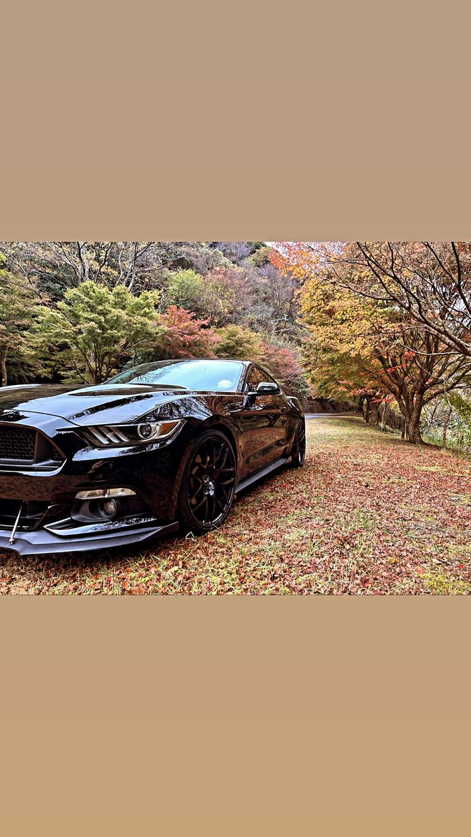 tomoya_forest's tweet photo. もうちょいイジりたい
なんかないかな🤔 https://t.co/i2faQs8irM