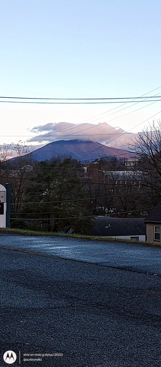 Happy Thanksgiving 🦃