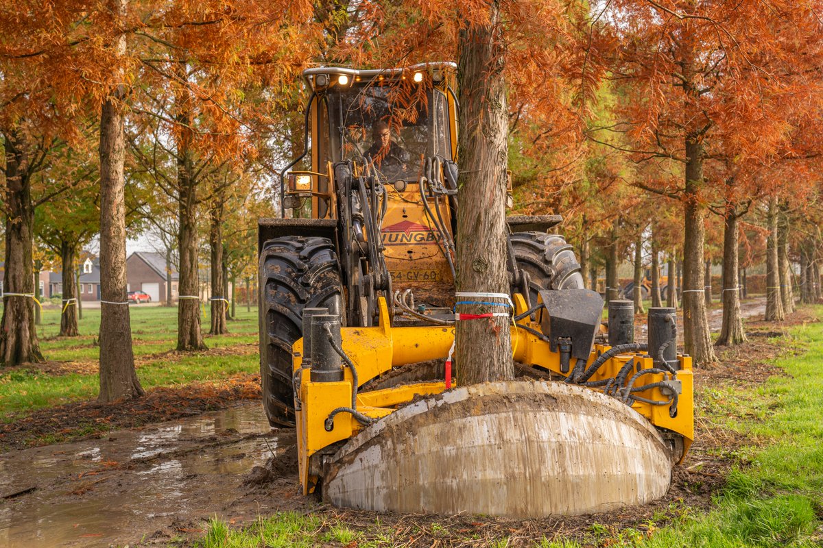 HullMaritime's tweet image. Exciting progress as the first trees to be planted within Queens Gardens have been lifted, rootballed and prepared for transportation to Hull.

Read more maritimehull.co.uk/whats-happenin…

@GavinJonesLtd @crreynoldsltd @Hullccnews