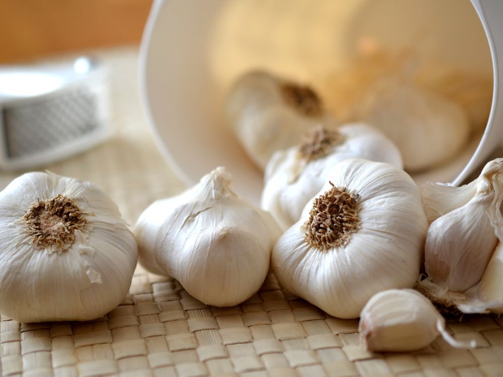 MARNewsflash's tweet image. आहारात का असावा लसूण | benefits of eating garlic in marathi 

marathinewsflash.com/benefits-of-ga…
.
.
#benefitsofgarlic #Garlic