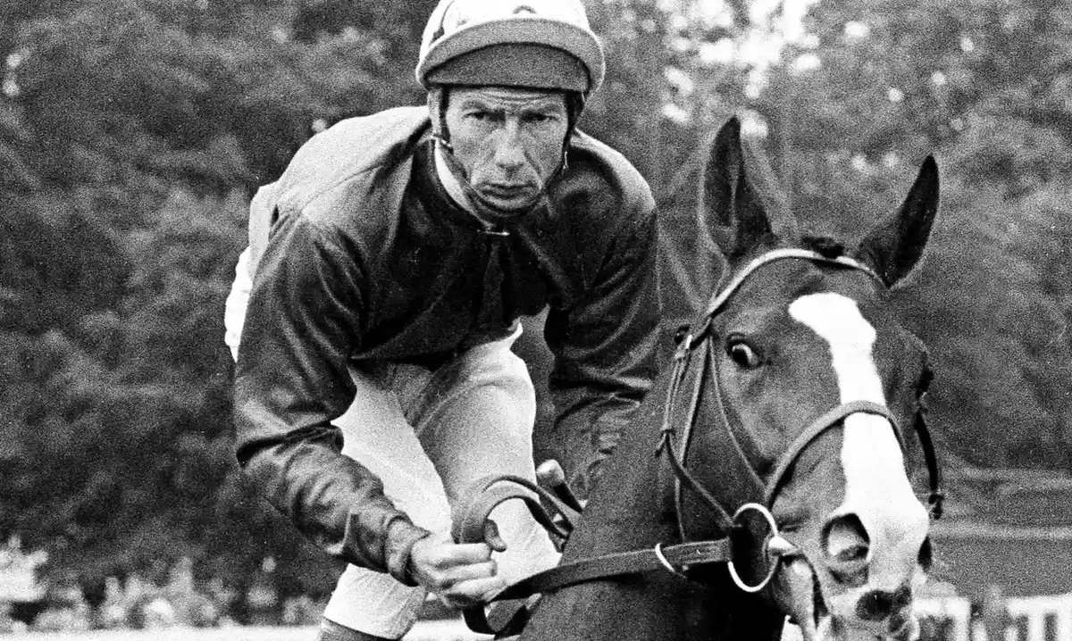 Steve Coxon Racing 🏇 tweet media