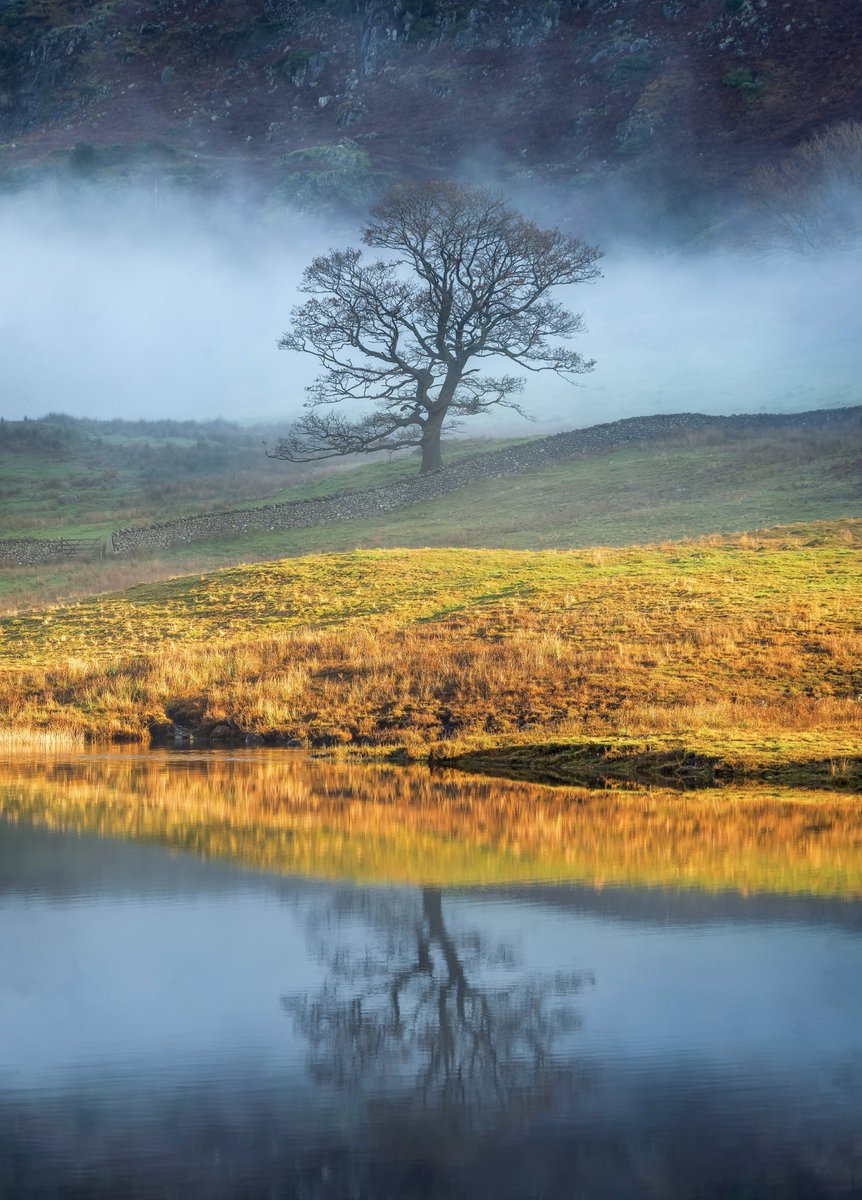 Stuart McGlennon tweet media