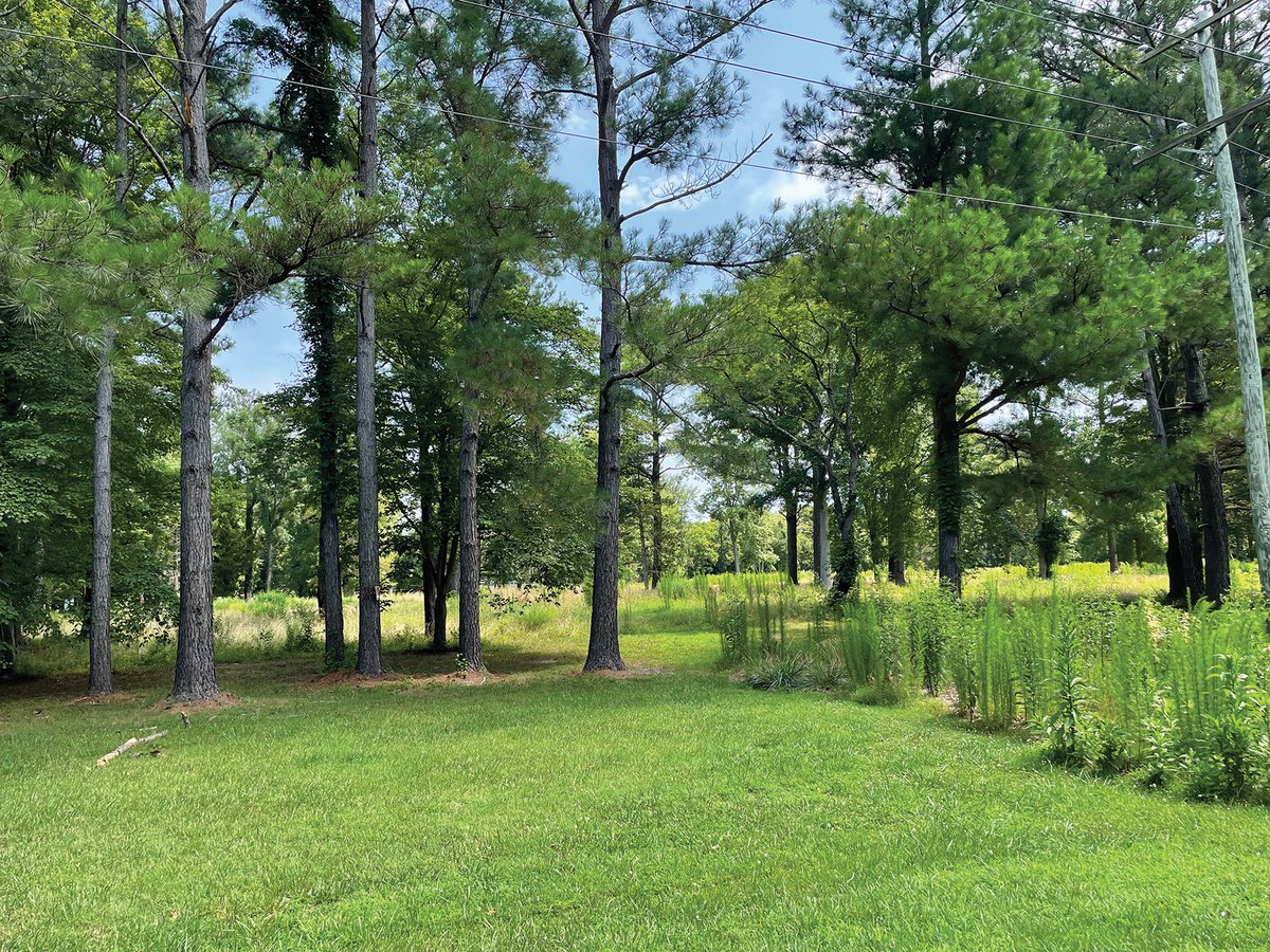 capala's tweet image. Thank you to my clients and friends, whether listing your home or representing you as a buyer I am grateful for your trust in me and wish to show my gratitude by helping to preserve land in Sussex County in your honor. 
Carol Ann Pala
Monument Sotheby's - CoastalDiv.
302-312-1794