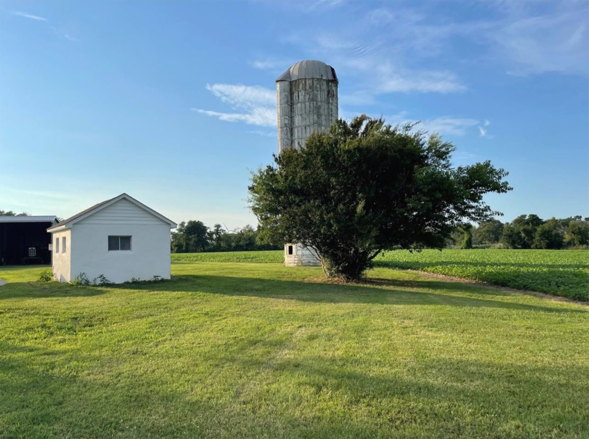 capala's tweet image. Thank you to my clients and friends, whether listing your home or representing you as a buyer I am grateful for your trust in me and wish to show my gratitude by helping to preserve land in Sussex County in your honor. 
Carol Ann Pala
Monument Sotheby's - CoastalDiv.
302-312-1794