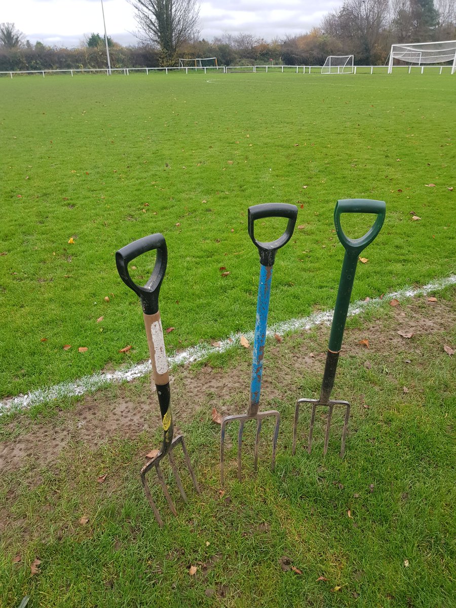 BrushesNwltd's tweet image. Choose your favourite 🌱 #divoting