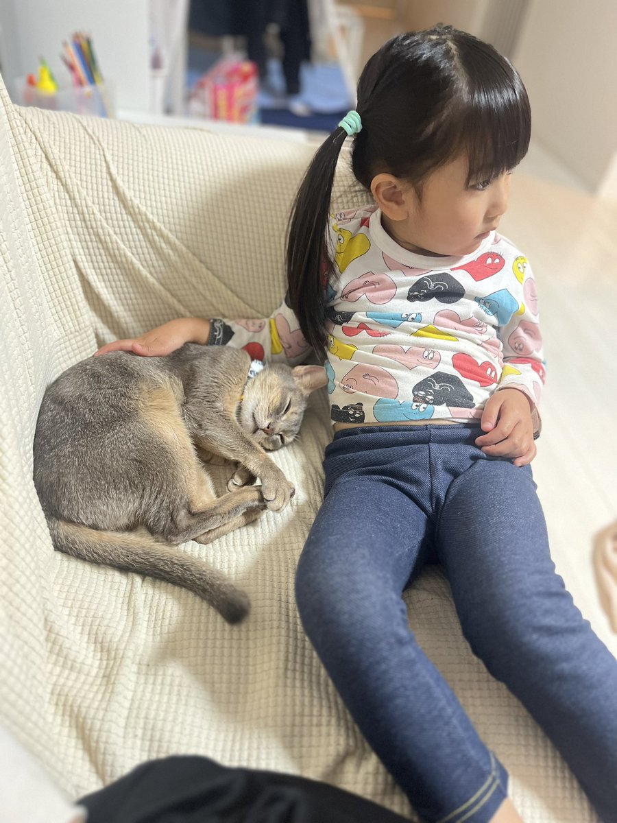 ai0401mam's tweet photo. 1週間まじで色んなことありすぎて泣いたり笑ったり濃密だったー😮
迷い猫を保護して飼い主さんに昨日引渡し（私一人爆泣き）して、そのご縁から年明けに子猫ちゃんをもらえることになりました🐈‍⬛
今日は久しぶりに何も無い日でクリスマスツリーを出しました🎄.* https://t.co/MHwsSW746w