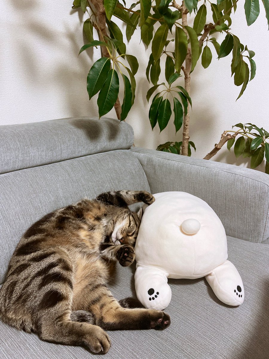 お久しぶりです
ぼくは元気です♡