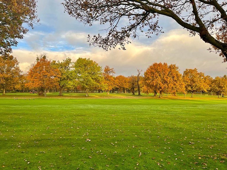 Stoke Park tweet media