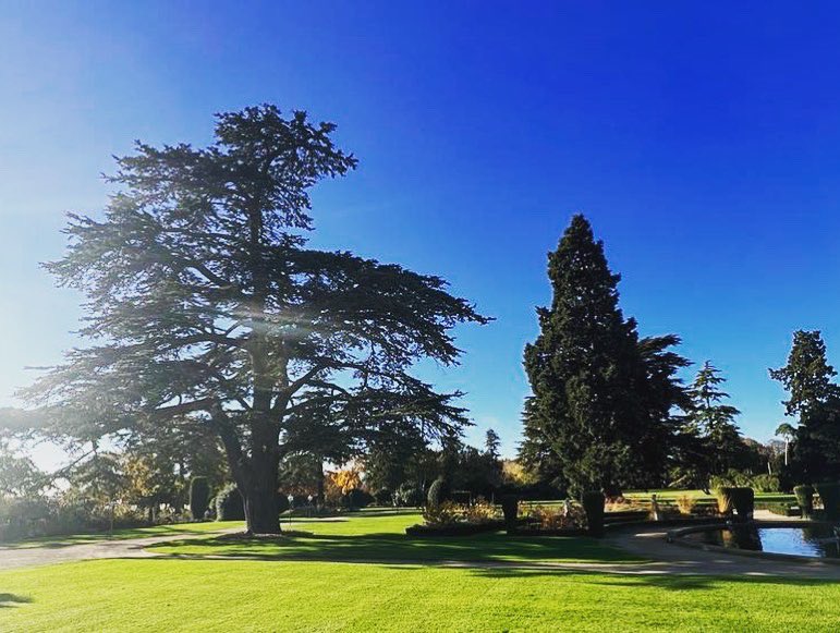 Out and about on the estate today celebrating the glorious Autumnal richness of colour on this beautiful day 🍁

#stokepark #stokepoges #buckinghamshire #Autumn