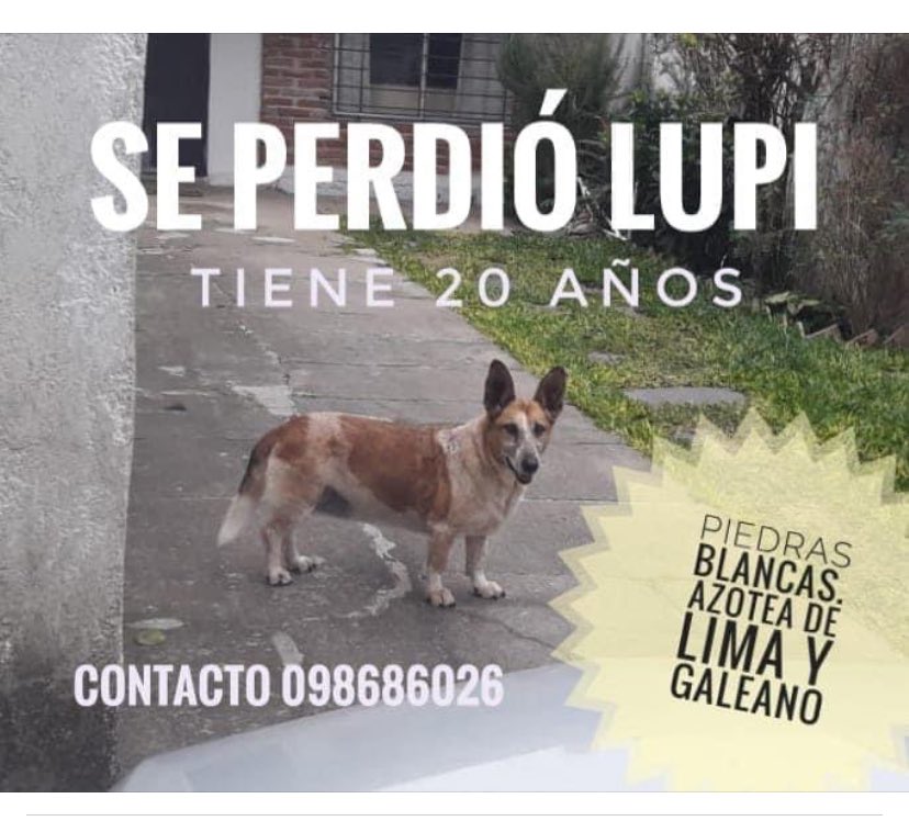 Adriana (@adriana43587622) on Twitter photo 