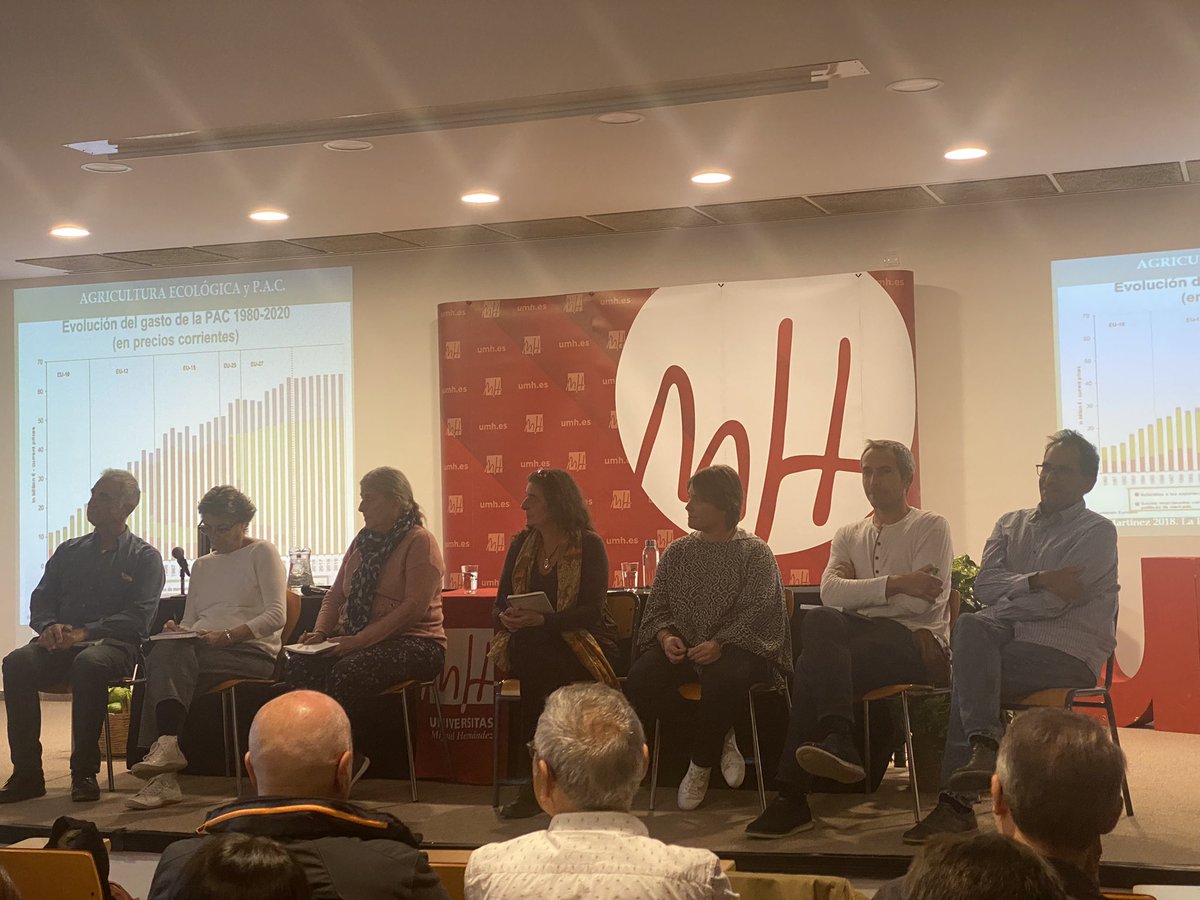 EntreSetas tweet media