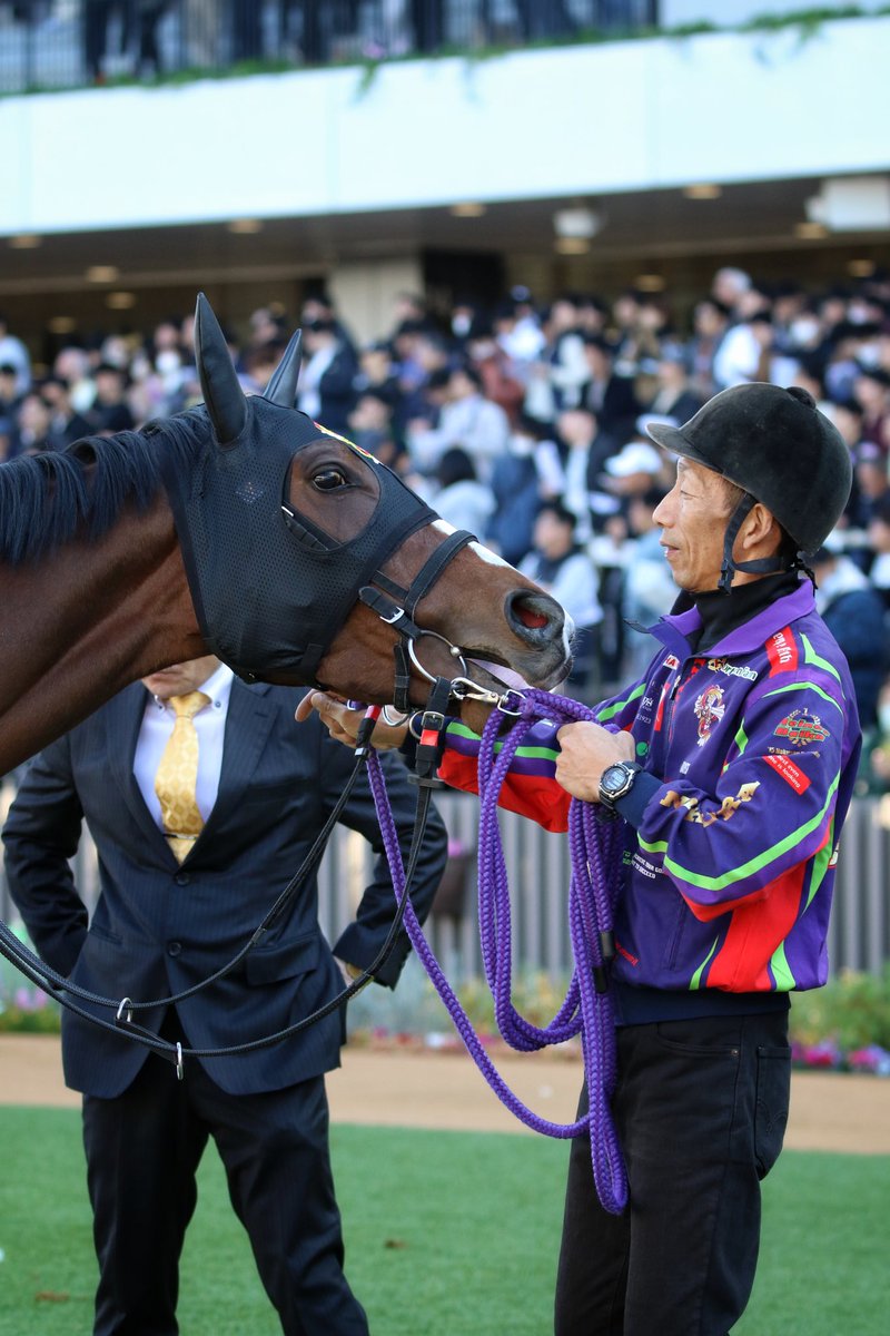 【期限切れ単複馬券】　2歳未勝利　2014/11/8 ドゥラメンテ　ウマ娘 2歳未勝利戦 - Search / X