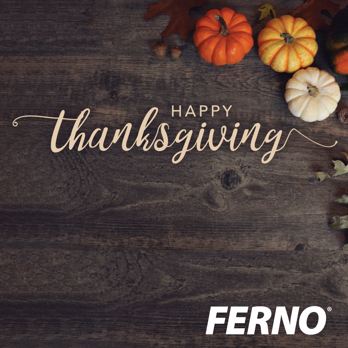 Happy Thanksgiving.

We hope your day is filled with joy.

And... to those who cannot be with family and friends because you're doing what needs to be done... THANK YOU!

We appreciate you.

Be safe out there.

ferno.com/us

#Thanksgiving #Family #Thankful #WeAreFerno