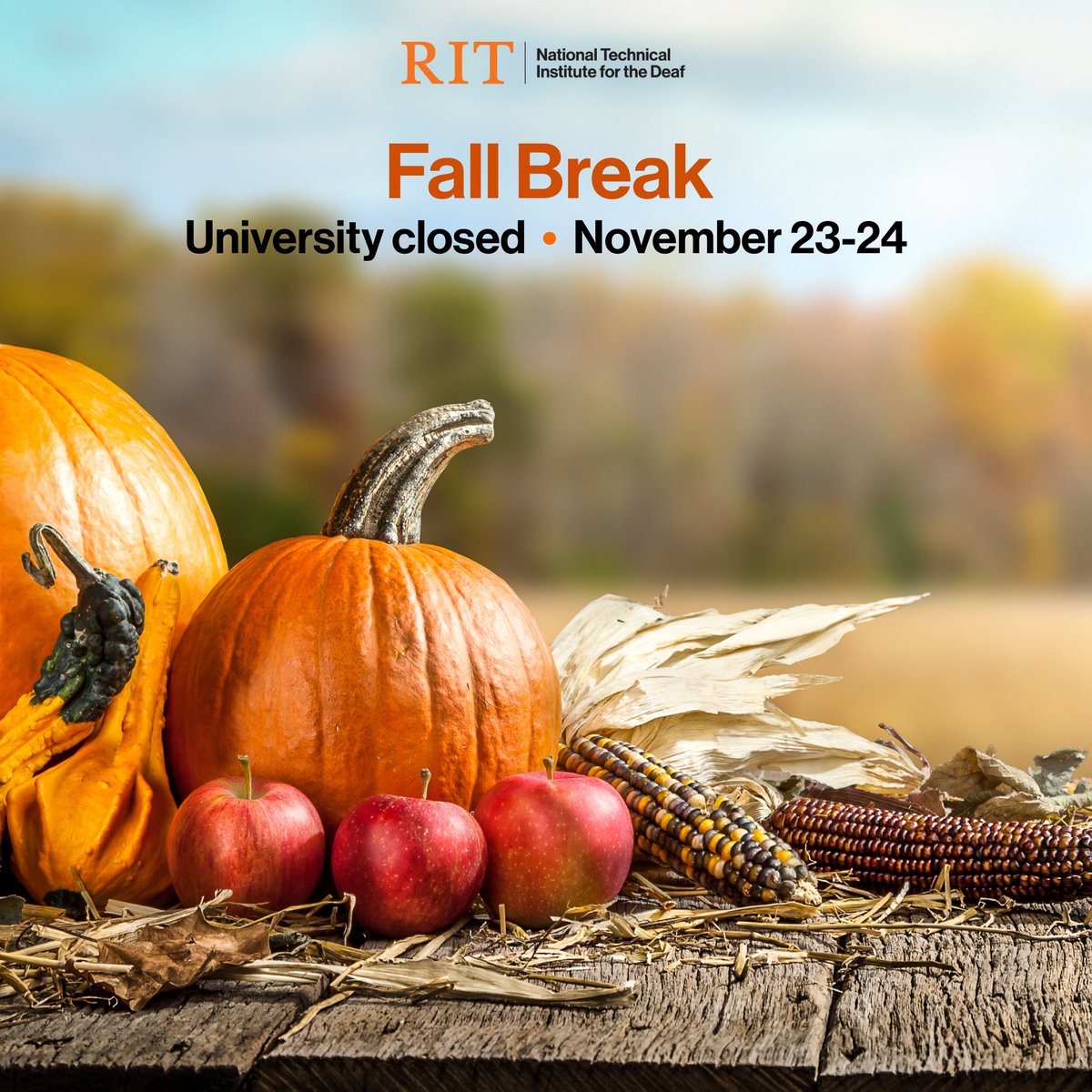 Happy Fall Break, Tigers! Get ready for some well-deserved relaxation and a breather from classes to enjoy the beautiful autumn season. Whether you're planning to travel and explore or spend quality time with friends and family, we hope you have an amazing break.