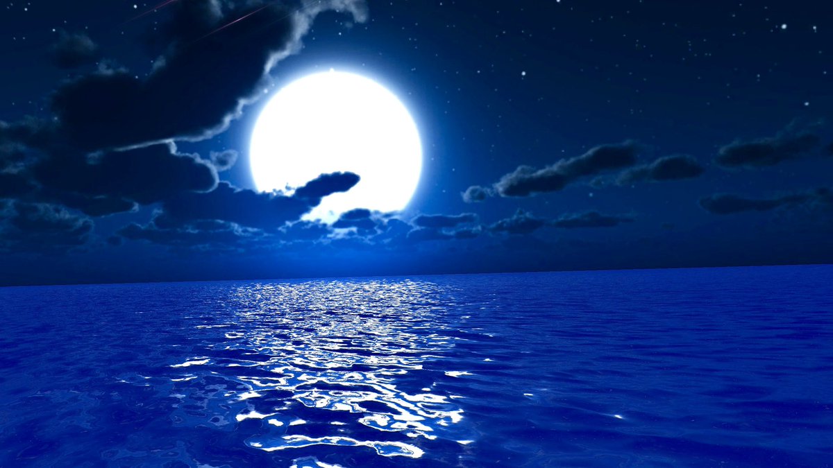 megohime tweet media