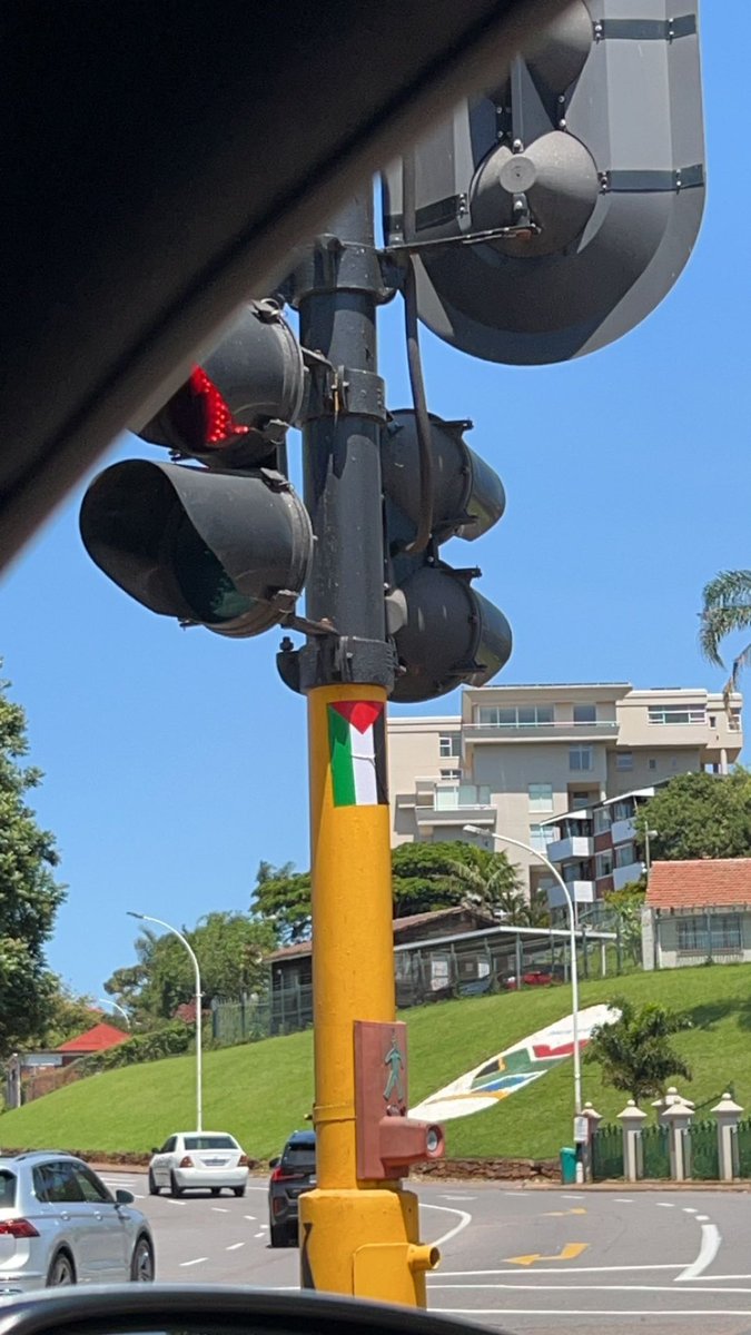 cashmoneyaaliya's tweet photo. love my country 🇵🇸🇿🇦 https://t.co/NzhBCeLo2I