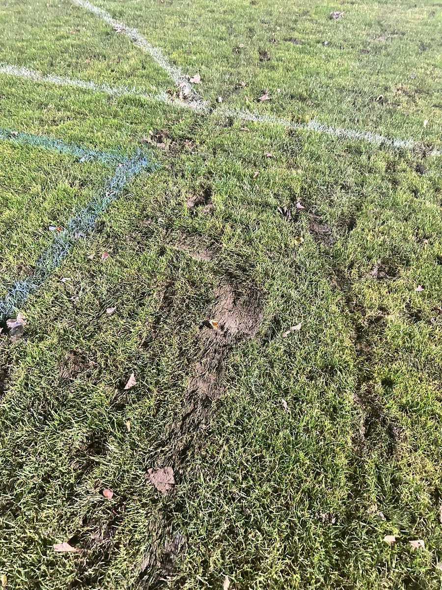 Foley Meir FC tweet media