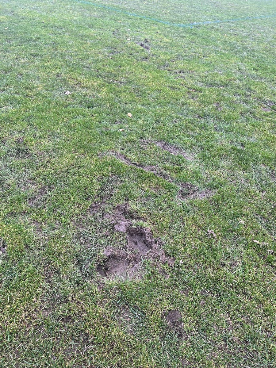 Foley Meir FC tweet media