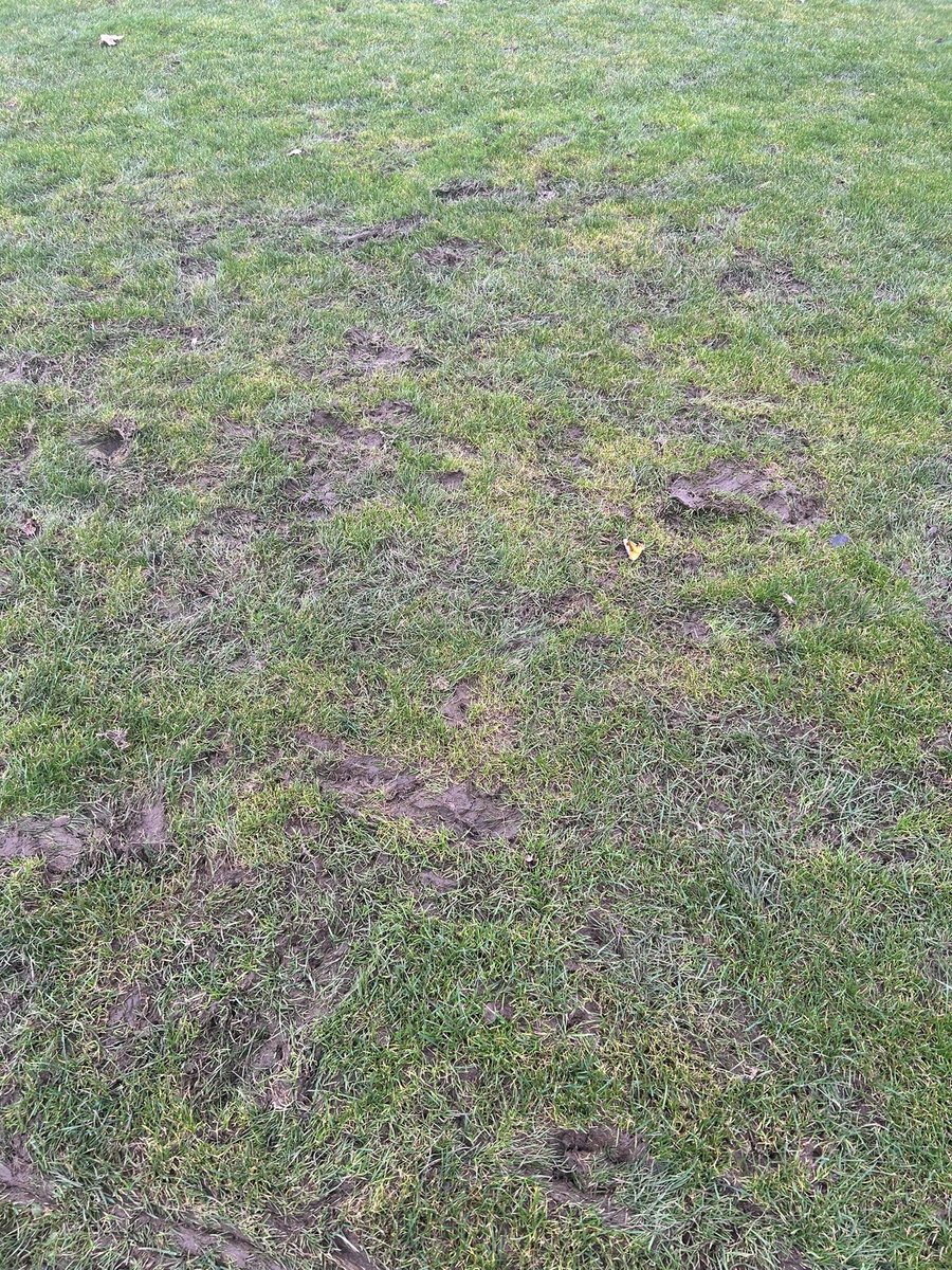 Foley Meir FC tweet media