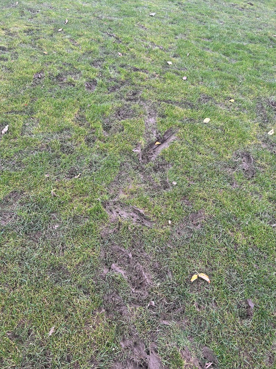 Foley Meir FC tweet media