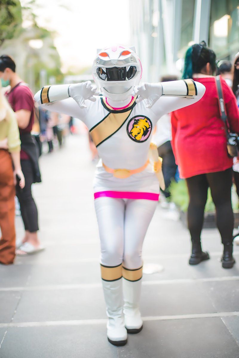 百獣戦隊　コスプレ用マスク　塗装完成品 Amazon.co.jp: [1977] 百獣戦隊ガオレンジャー ガオシルバー