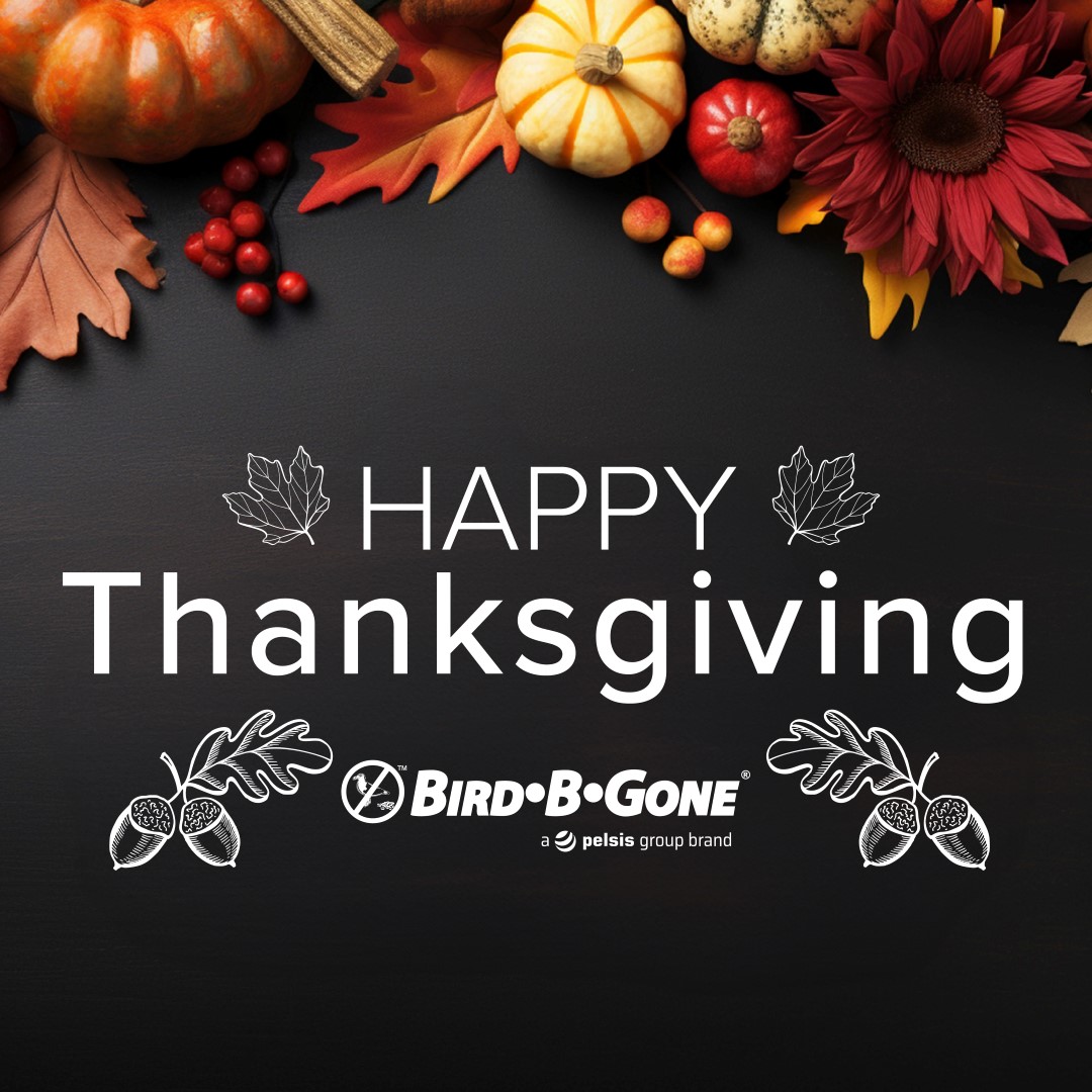 As we gather with loved ones, we're reminded of the importance of gratitude. Today we give thanks for the wonderful people who've been part of our journey. May your day be filled with laughter, and cherished moments.
 #HappyThanksgiving #Grateful #ThankfulCustomers #birdbgone