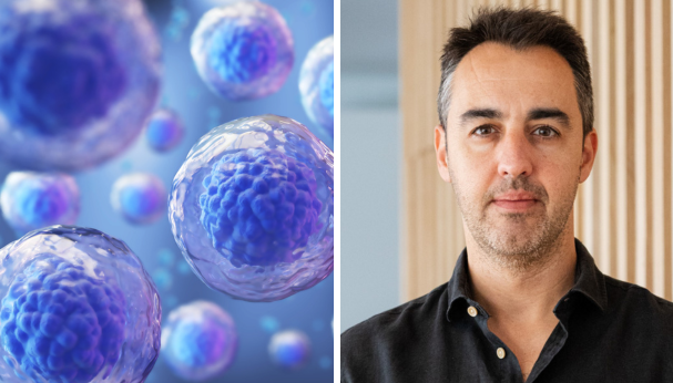 ERC_Research's tweet photo. Why does our body's repair system work less effectively as we age? 🧬

With a new #ERCCoG, Pedro Sousa-Victor &amp; his research team @agingrepair at @IMMolecular aim to find immune factors causing regenerative decline in aging.

Find out more 👉 https://t.co/LGUHCI3dOU

 🇪🇺#EUfunded https://t.co/42S6MZTlLE