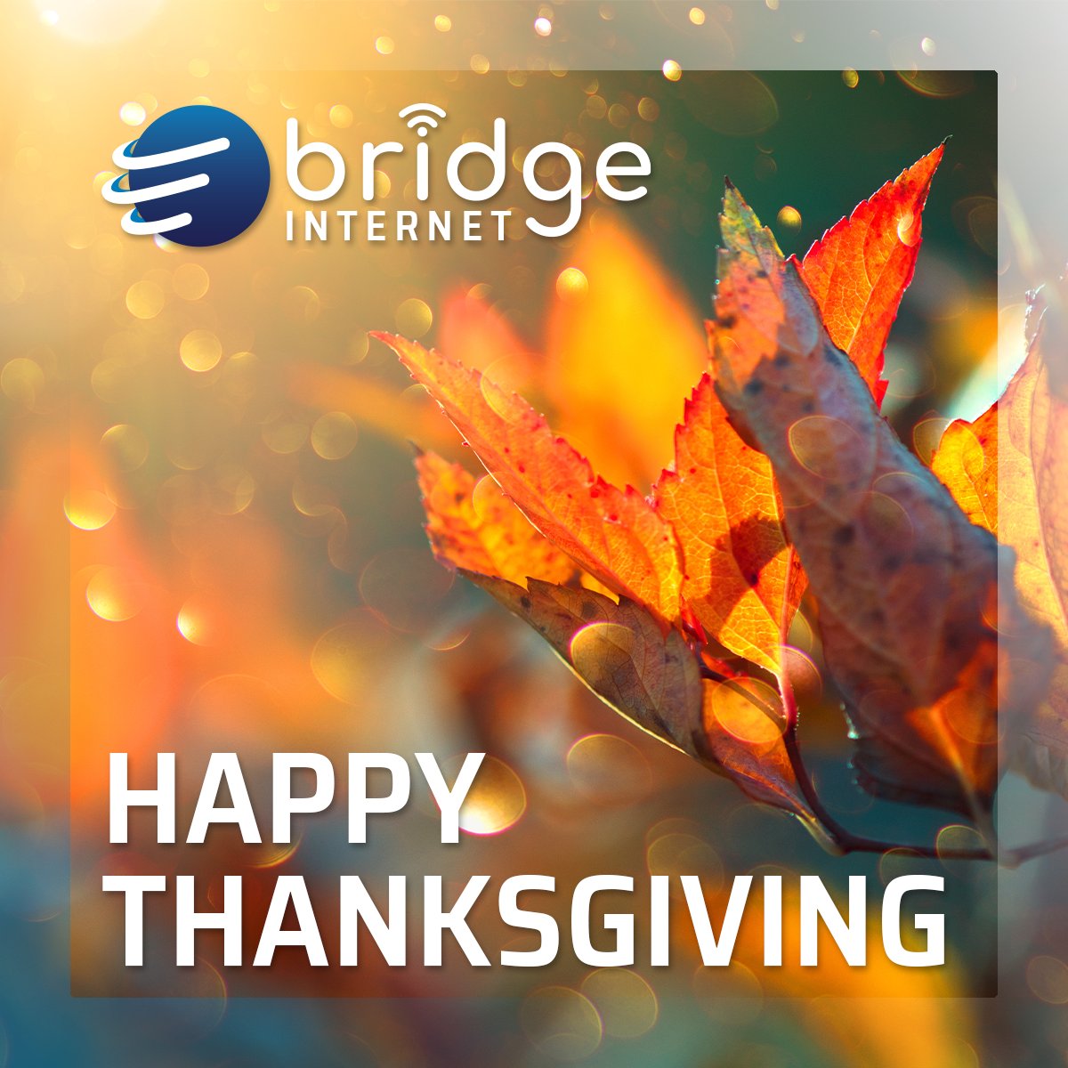 Happy Thanksgiving from Bridge Internet! 🦃