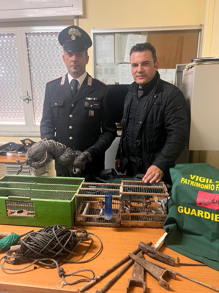 MatteoPalmisani's tweet photo. Operazione dei @_Carabinieri_ con le guardie volontarie della LIPU #Caserta , @LipuODV , @falcianesedoc a Francolise (#Caserta ) . Sequestrati #cardellini e materiale di cattura. .@rep_napoli, @casertafocus,@casertaweb,@casertace,@Agenzia_Ansa, @radiotvcaserta https://t.co/oB6ZYSt5AY