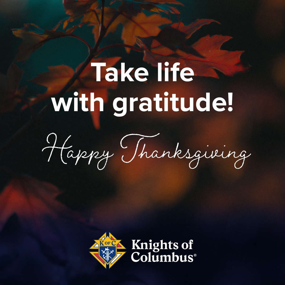 KofC's tweet photo. Today, we celebrate with family and friends, thanking God for the blessings of the year. https://t.co/pdRr8Ecnru
