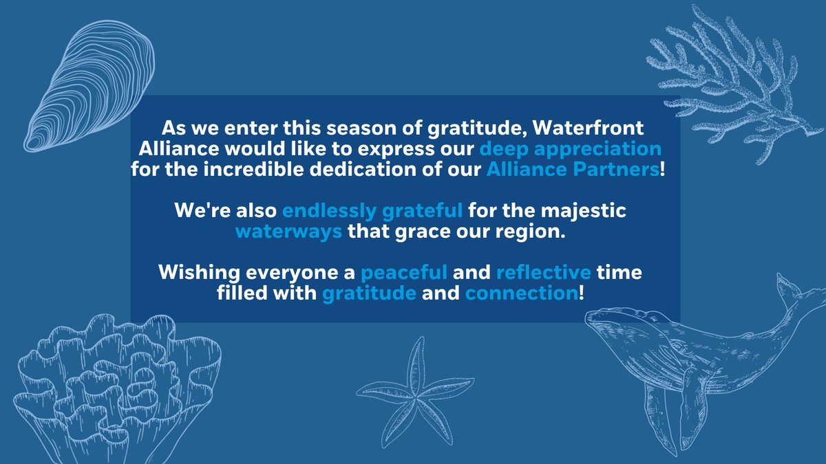 🌊💙 In this season of gratitude, Waterfront Alliance would like to express our appreciation for the incredible support of our Alliance Partners! We're also grateful for the waterways that grace our region. Wishing everyone a peaceful time filled with gratitude & connection!