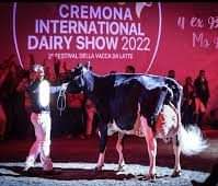 farmsteadgal's tweet photo. One more sleep &amp; off  on a #farmsteadtravel dairy tour of Italy &amp; the #cremonainternationallivestockshow. First stop Venice! ....oh &amp; i am sure there will be wine &amp; cheese involved..alot of cheese....
Follow along on our FB or IG @farmsteadtravel
#farmtour 
#italy #dairyshow https://t.co/PuXDDtOA0f
