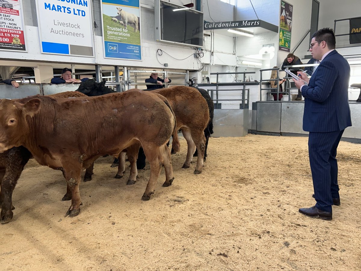 Martin Hall tweet media