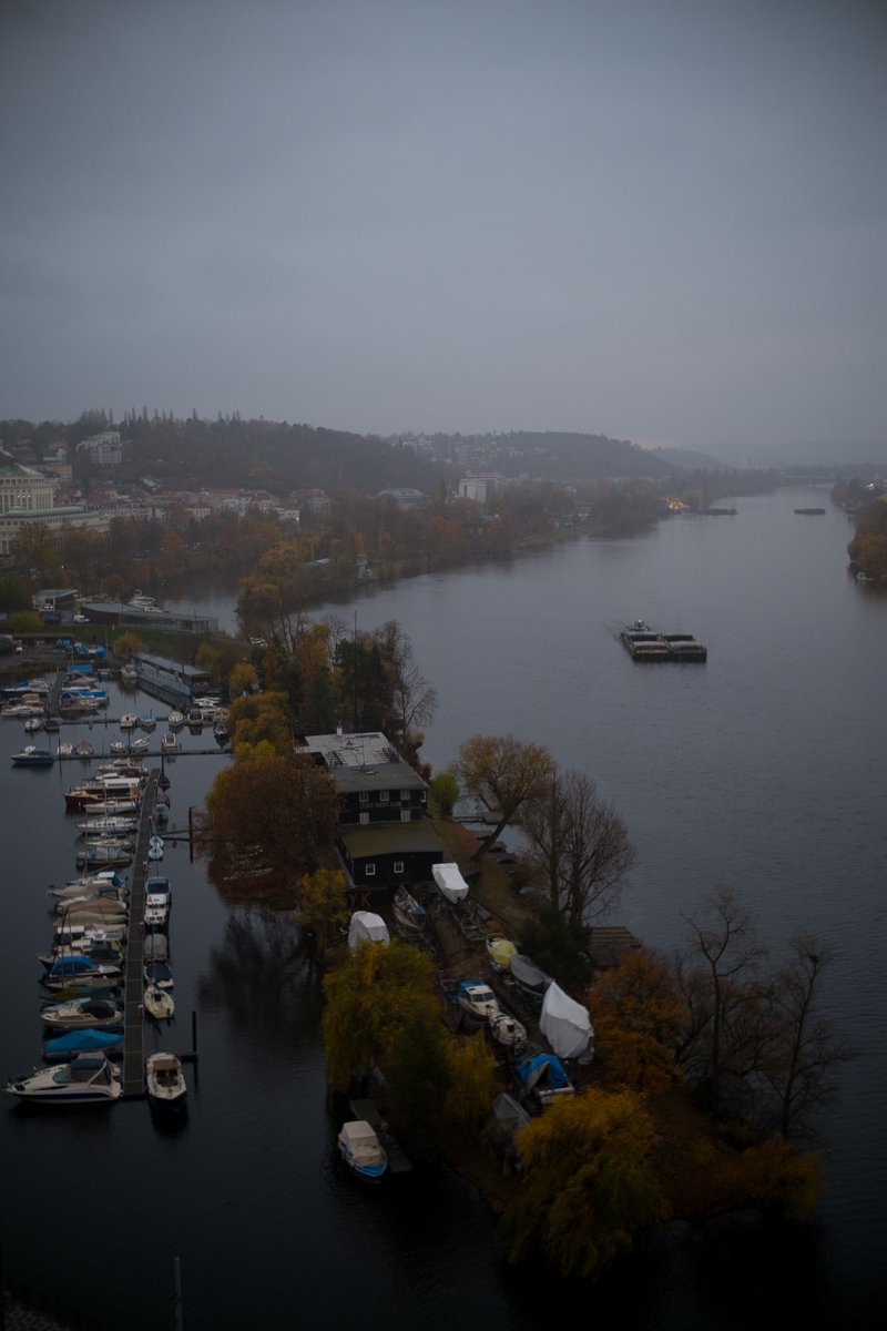 nellyraspberry's tweet image. these two holds so mich sadness inside that i started to hate them.