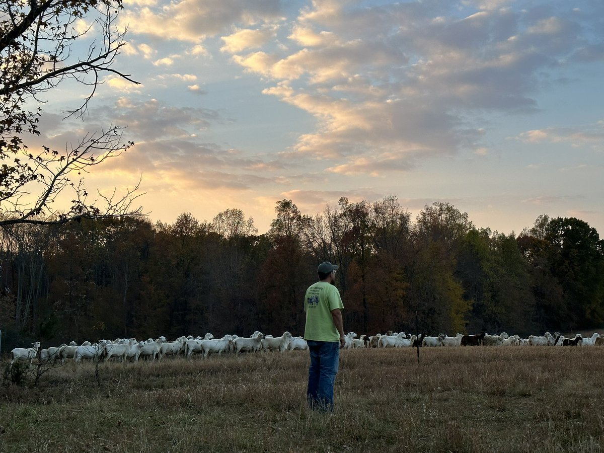 Happy Thanksgiving! We are so thankful for our amazing team, we couldn’t do it without them. Special thanks to Wellfarm Veterinary Consultants for all the extra they do for us and our sheep. #happythanksgiving #graslambscaping #solargrazing #solarsheep