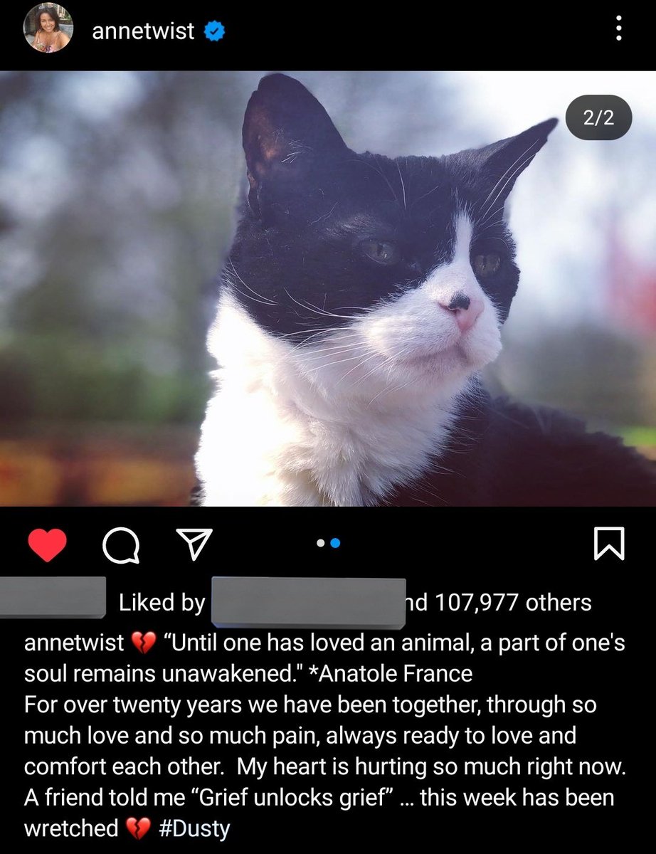 If1DCouldFlyy's tweet photo. you'll forever be loved and missed :(( https://t.co/Ggx5nbiZZI