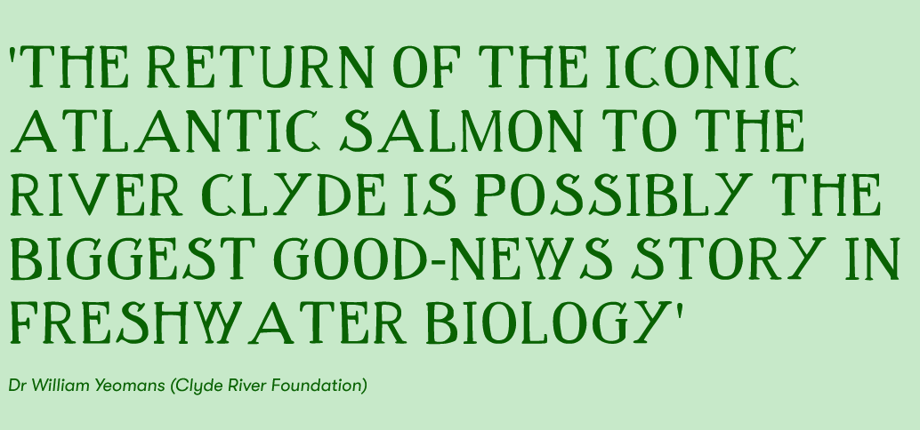gbptrust's tweet photo. We'll explore the city's relationship with fish through folklore, archaeology and history, get the latest research on salmon recovery in the Clyde catchment and find out why their return is so significant for the river.
#MonTheFish! ๐ช๐ https://t.co/WAWKFgTBwd
