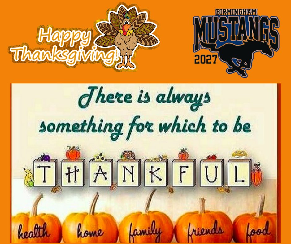 Birmingham Mustangs 2027 tweet media