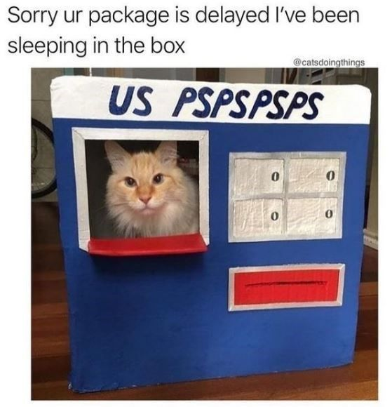 WholesomeMeme's tweet photo. https://t.co/shWJzqPuyW
