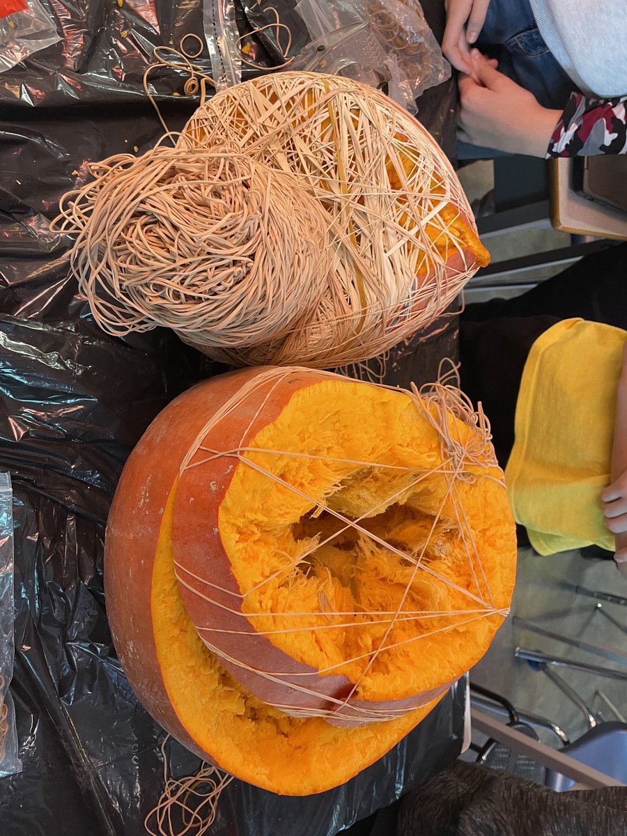 Took 2 days to explode the pumpkin. 2011 bands. 30cm diameter, 5cm inside wall, 48 cm, 15.2 cm rubber bands. ⁦<a href="/LKDSB/">Lambton Kent DSB</a>⁩ ⁦<a href="/MrOrr_geek/">Jon Orr</a>⁩