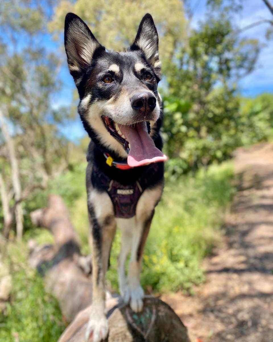 Augusta Grayson tweet media